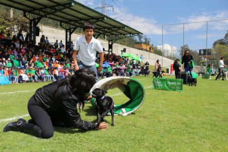 El colegio Johannes Kepler entrega 4 toneladas de comida para los animales rescatados